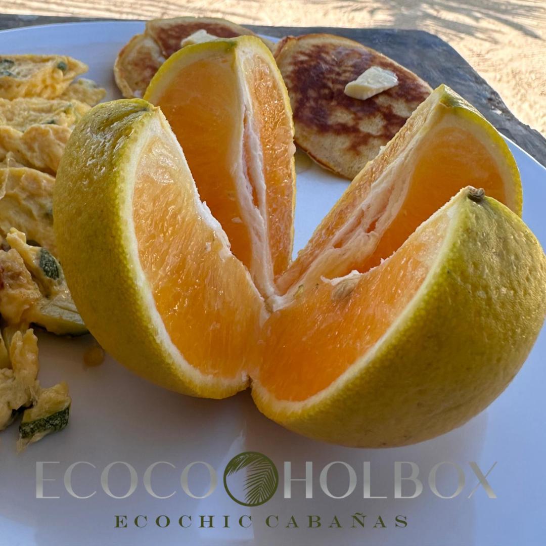 Ecoco Holbox - Ecochic - Cabanas De Madera - Holbox Retreat Exterior foto